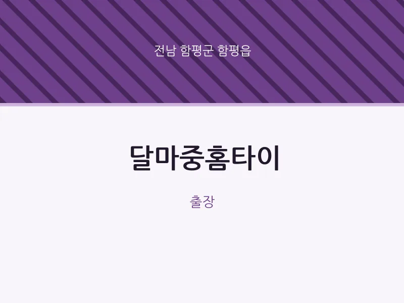 함평읍 출장마사지 달마중홈타이 | 마픽