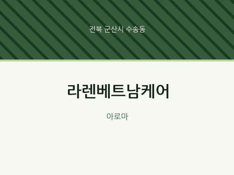 수송동 출장마사지 홈타이 라렌베트남케어 | 마픽