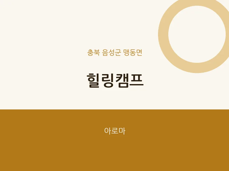 맹동면 출장마사지 홈타이 힐링캠프 | 마픽