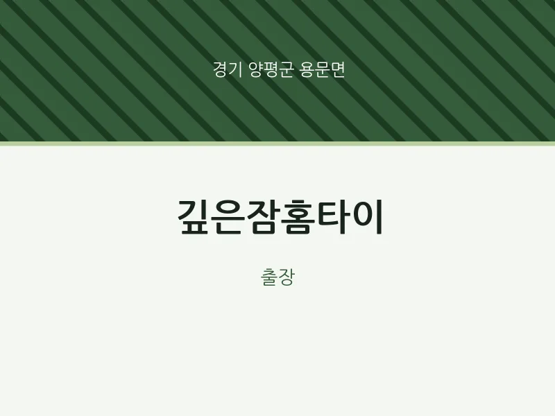 용문면 출장마사지 깊은잠홈타이 | 마픽