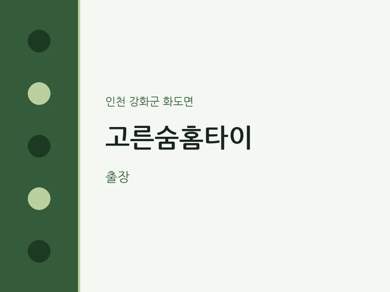 화도면 출장마사지 고른숨홈타이 | 마픽