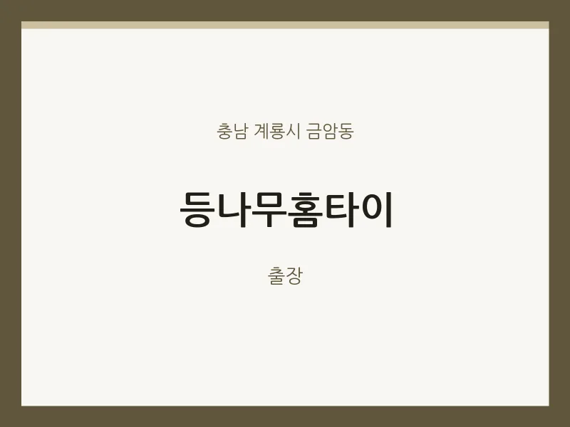 금암동 출장마사지 등나무홈타이 | 마픽