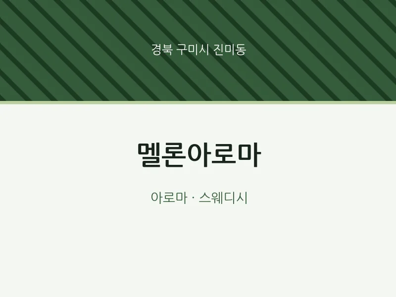 진미동 출장마사지 홈타이 멜론아로마 | 마픽