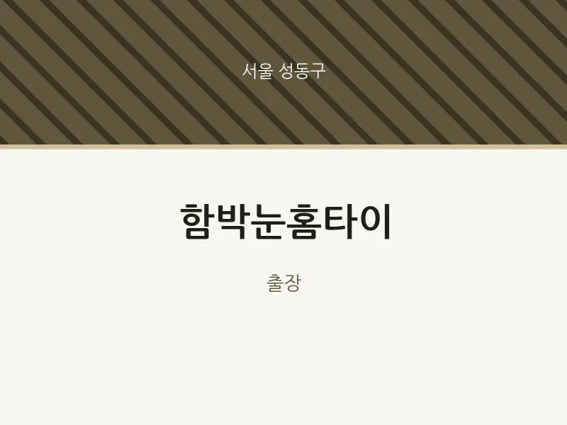 성동구 출장마사지 함박눈홈타이 | 마픽