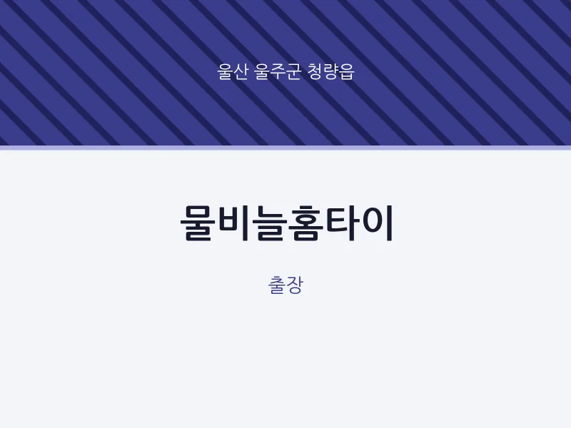 청량읍 출장마사지 물비늘홈타이 | 마픽