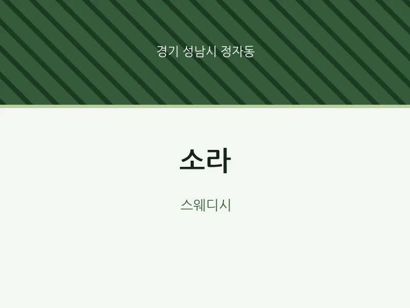 정자동 출장마사지 홈타이 소라 | 마픽