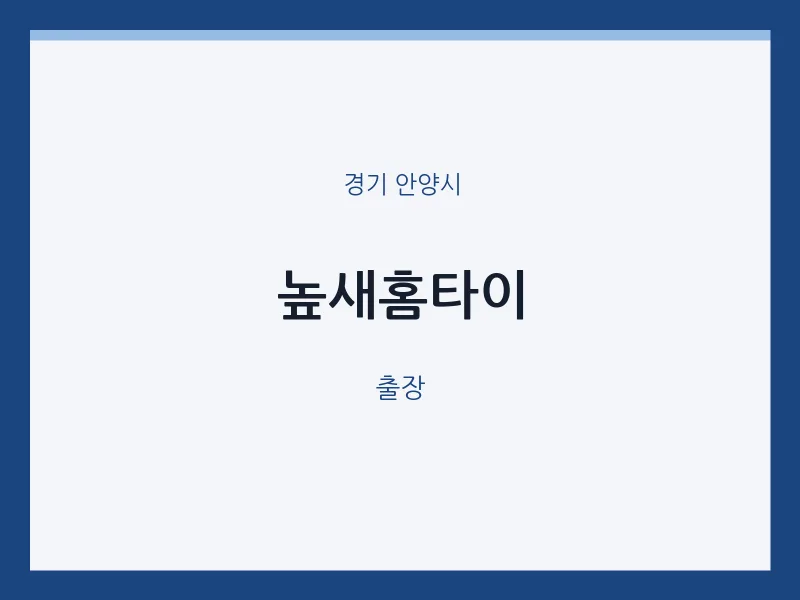 안양시 출장마사지 높새홈타이 | 마픽