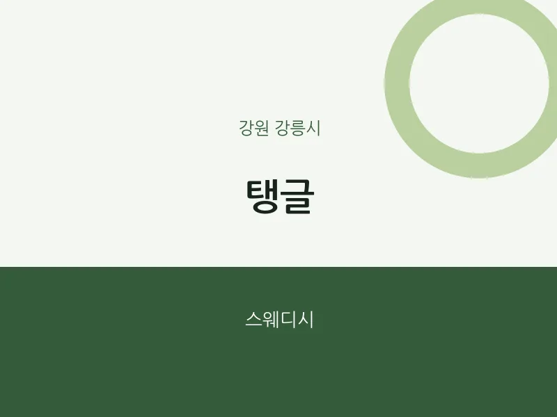 강릉시 출장마사지 홈타이 탱글 | 마픽