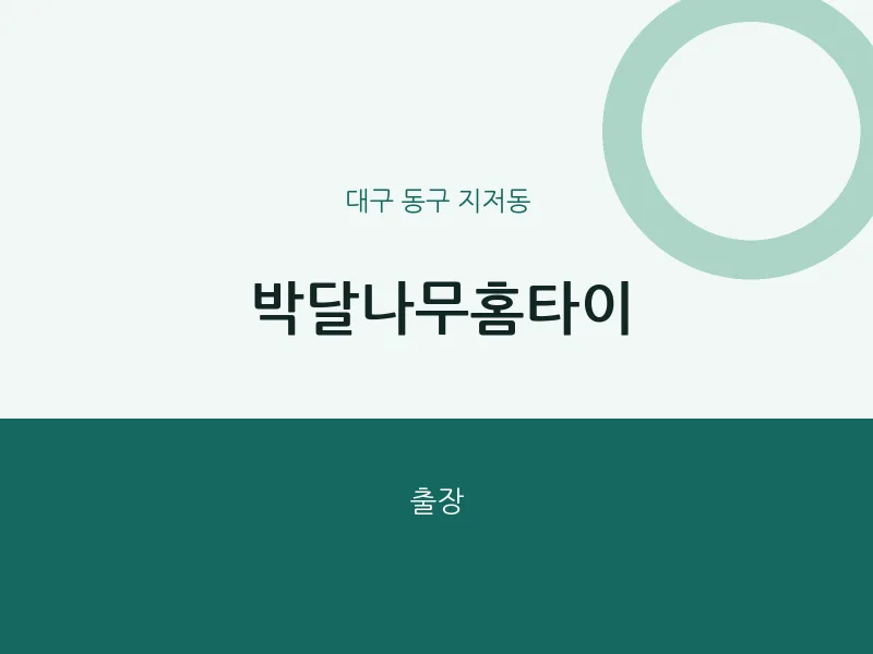 지저동 출장마사지 박달나무홈타이 | 마픽