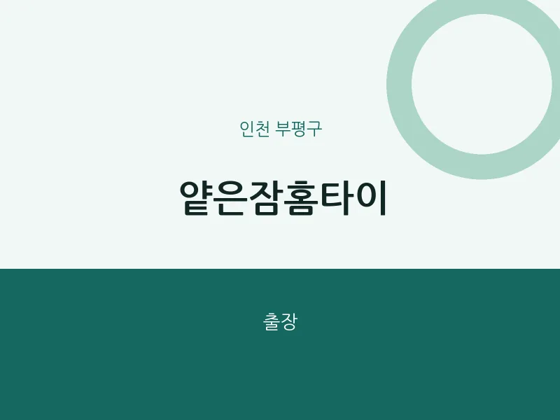 부평구 출장마사지 얕은잠홈타이 | 마픽