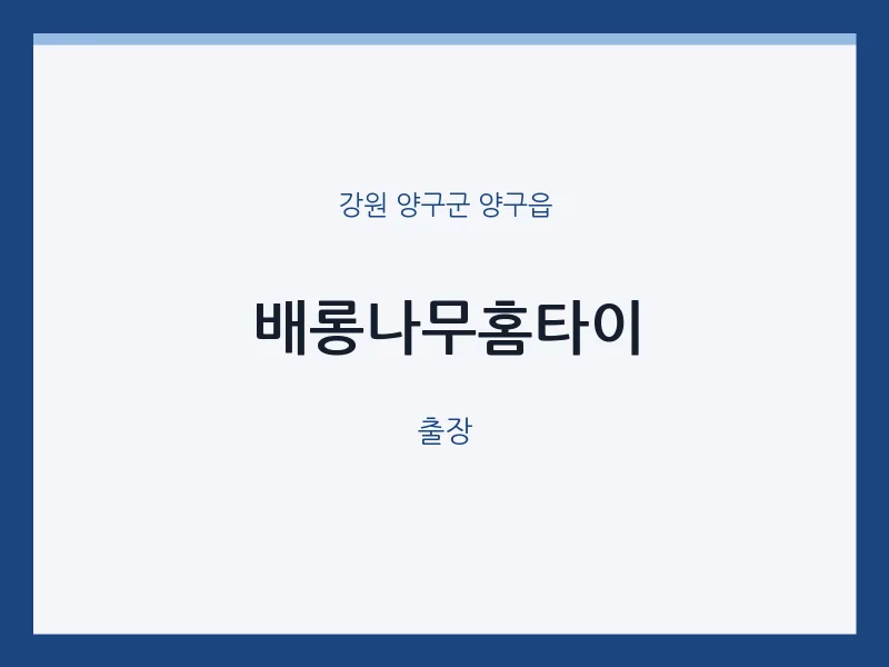 양구읍 출장마사지 배롱나무홈타이 | 마픽