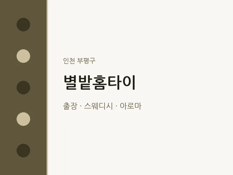 부평구 출장마사지 별밭홈타이 | 마픽