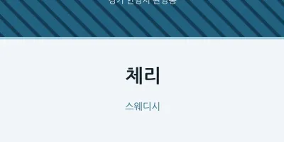 관양동 출장마사지 홈타이 체리 | 마픽