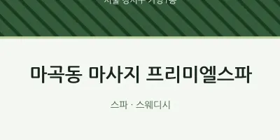 가양1동 출장마사지 홈타이 프리미엘스파 | 마픽