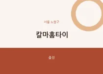 노원구 출장마사지 칼마홈타이 | 마픽