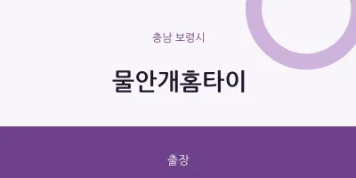 보령시 출장마사지 물안개홈타이 | 마픽