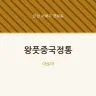 왕풋중국정통