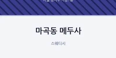 가양1동 출장마사지 홈타이 메두사 | 마픽