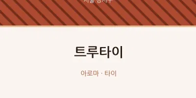 강서구 출장마사지 홈타이 트루타이 | 마픽