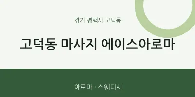 고덕동 출장마사지 홈타이 에이스아로마 | 마픽