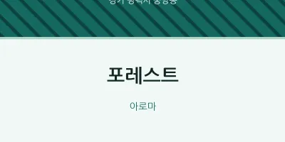 중앙동 출장마사지 홈타이 포레스트 | 마픽