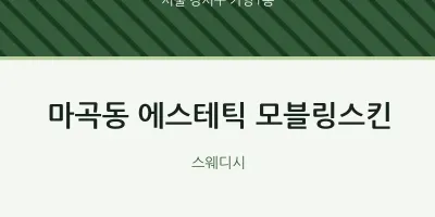 가양1동 출장마사지 홈타이 에스테틱 모블링스킨 | 마픽