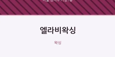 가양1동 출장마사지 홈타이 엘라비왁싱 | 마픽