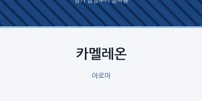 금곡동 출장마사지 홈타이 카멜레온 | 마픽