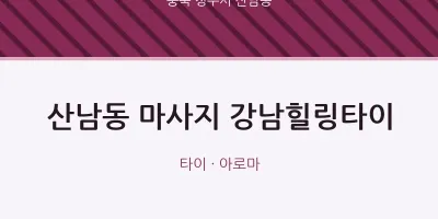 산남동 출장마사지 홈타이 강남힐링타이 | 마픽