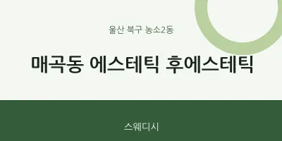 농소2동 출장마사지 홈타이 에스테틱 후에스테틱 | 마픽