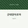 굿태양아로마