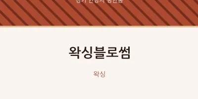 평안동 출장마사지 홈타이 왁싱블로썸 | 마픽