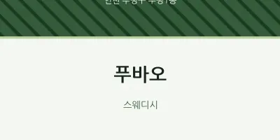 부평1동 출장마사지 홈타이 푸바오 | 마픽