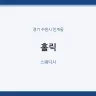 홀릭