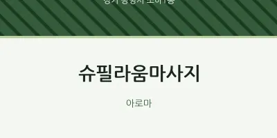 소하1동 출장마사지 홈타이 슈필라움마사지 | 마픽