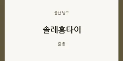 남구 출장마사지 솔레홈타이 | 마픽