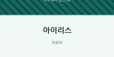 침산1동 출장마사지 홈타이 아이리스 | 마픽