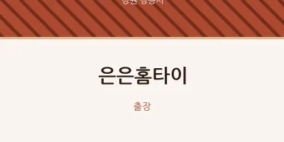 강릉시 출장마사지 은은홈타이 | 마픽