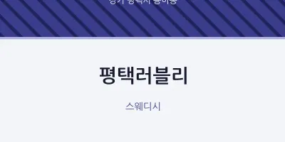 용이동 출장마사지 홈타이 평택러블리 | 마픽