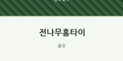 북구 출장마사지 전나무홈타이 | 마픽