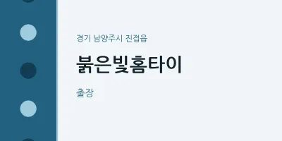 진접읍 출장마사지 붉은빛홈타이 | 마픽