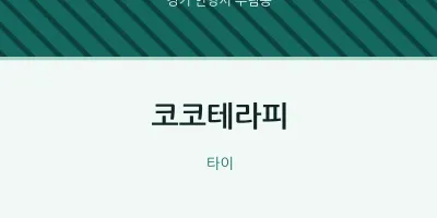 부림동 출장마사지 홈타이 코코테라피 | 마픽
