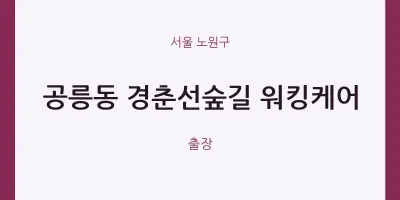 노원구 출장마사지 홈타이 경춘선숲길 워킹케어 | 마픽