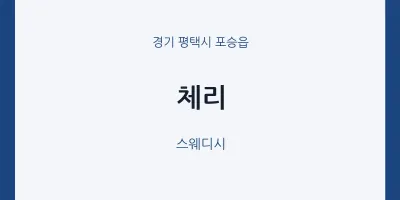 포승읍 출장마사지 홈타이 체리 | 마픽