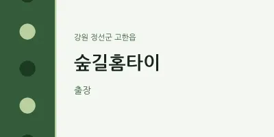 고한읍 출장마사지 숲길홈타이 | 마픽