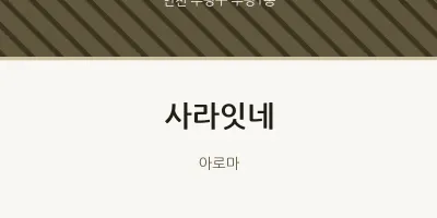 부평1동 출장마사지 홈타이 사라잇네 | 마픽