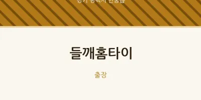 안중읍 출장마사지 들깨홈타이 | 마픽