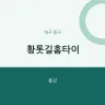 황톳길홈타이