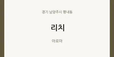 평내동 출장마사지 홈타이 리치 | 마픽