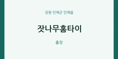인제읍 출장마사지 잣나무홈타이 | 마픽